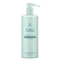 MORE TO LOVE BODIFYING CONDITIONER MY HAIR MY CANVAS ALTERNA 1000ml
